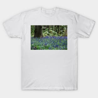 Bluebell Sea T-Shirt